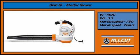 bge81